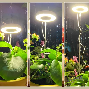 Светодиодный светильник для выращивания растений полного спектра USB 5 В, Регулируемая по высоте лампа для выращивания растений с регулируемой яркостью с таймером для комнатных растений, трав
